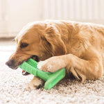 DOG TOOTHBRUSH - HELPS PREVENT DOG GUM DISEASE