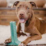 DOG TOOTHBRUSH - HELPS PREVENT DOG GUM DISEASE